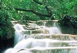 Stream