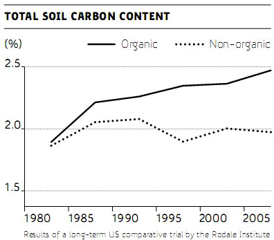 Organic and non-organic soil carbon