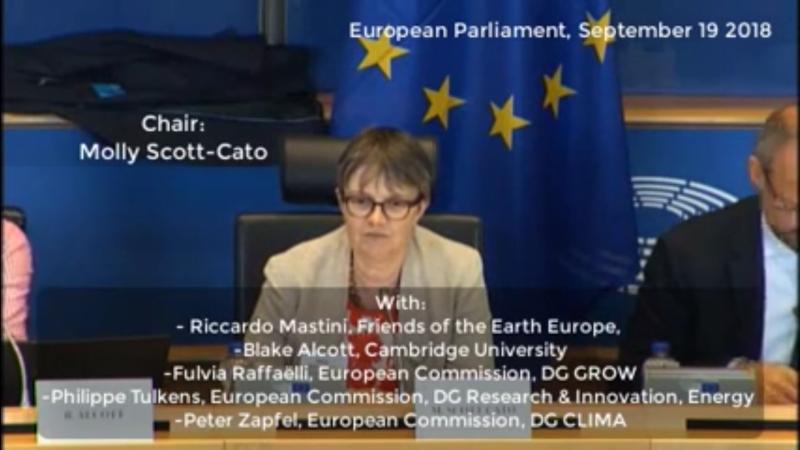 Molly Scott Cato MEP chairs discussion of David Fleming's TEQs system