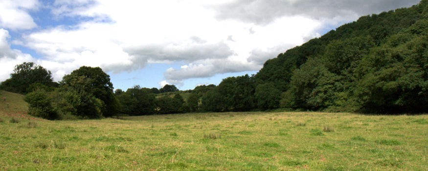 Land, and the army marching to claim it, in the UK and around the world