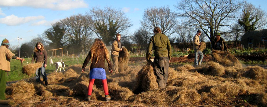 The Ecological Land Co-operative team, hard at work