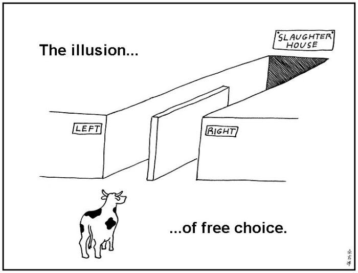 The illusion of choice