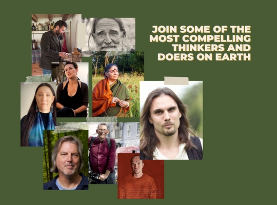Portraits of guest teachers on Surviving the Future: The Deeper Dive 2023