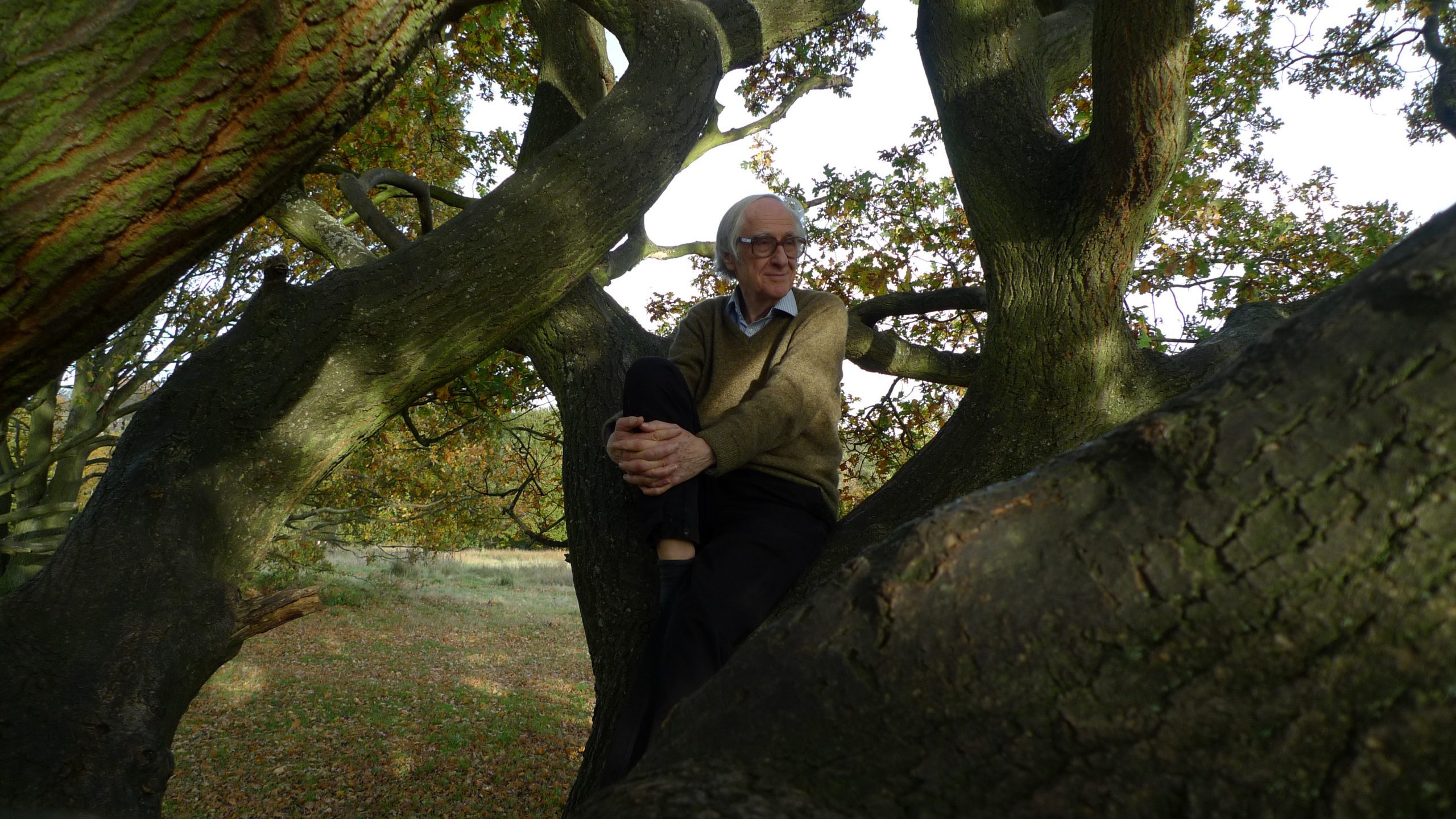 The late David Fleming, sitting in an oak tree on Hampstead Heath, 2010