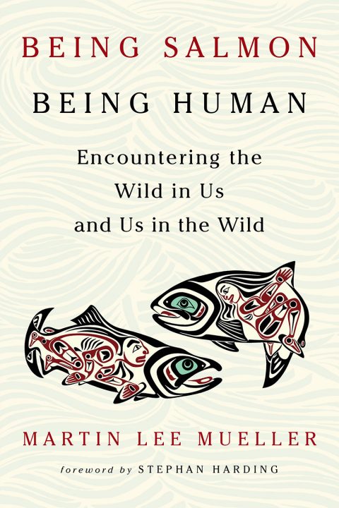 Being-Salmon-Being-Human-480x720