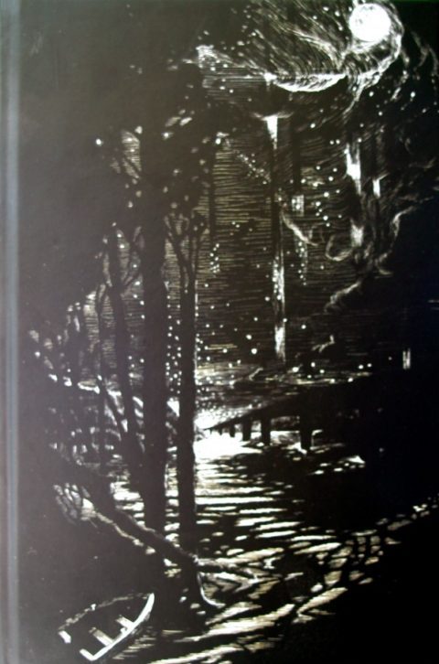 Dark-Mountain-Book-5-clean-480x726
